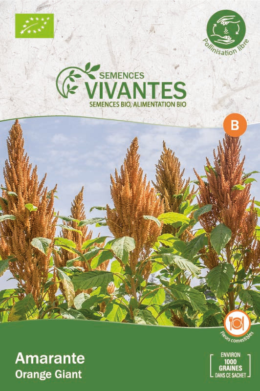 Semences Vivantes -- Amarante Orange Giant Bio - sachet de 1000 graines